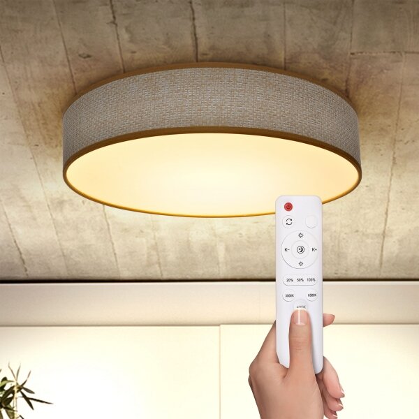 Brilagi - Lampada da soffitto dimmerabile CARMEN LED/48W/230V 3000-6500K + DO