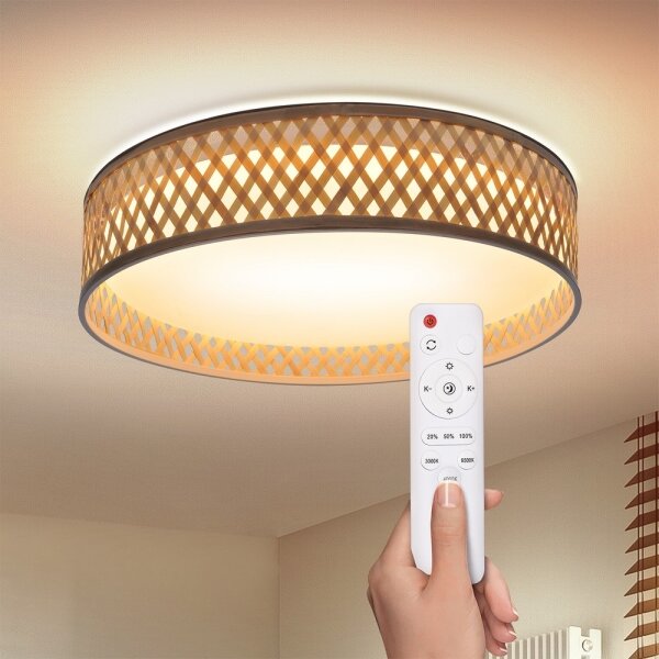 Brilagi - Plafoniera LED dimmerabile CAMILA 48W 230V 3000-6500K + DO