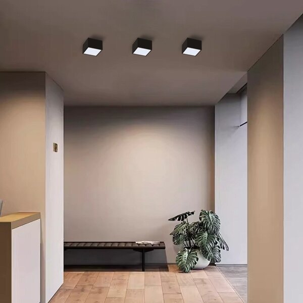 Immax Neo 07074L-15BD-Set 2x Luce LED dimmerabile CANTO 2xLED/12W/230V + +TC