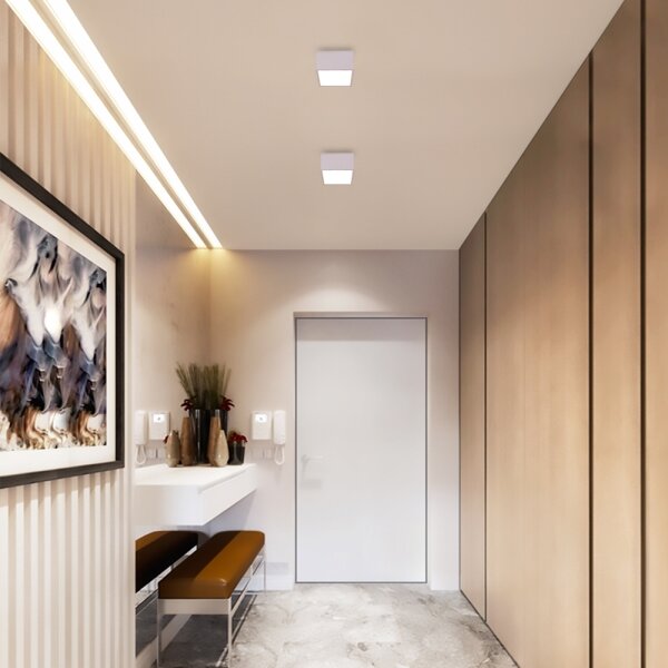 Immax NEO 07072L-15 - Lampada LED dimmerabile CANTO LED/12W/230V + T bianca