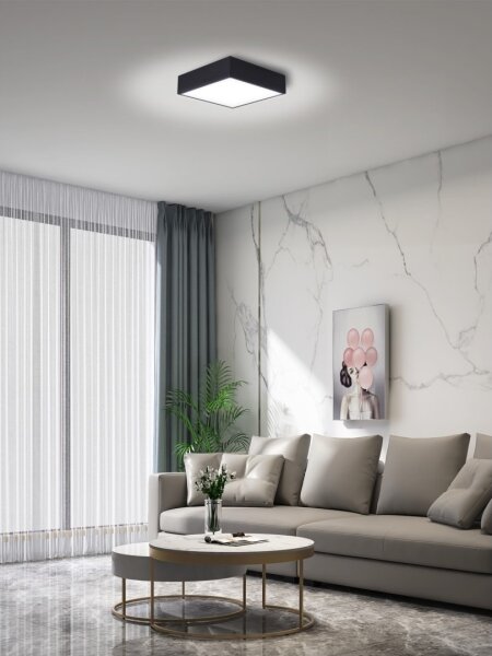 Immax NEO 07237L - Plafoniera LED dimmerabile CANTO 22W/230V nero Tuya+RC