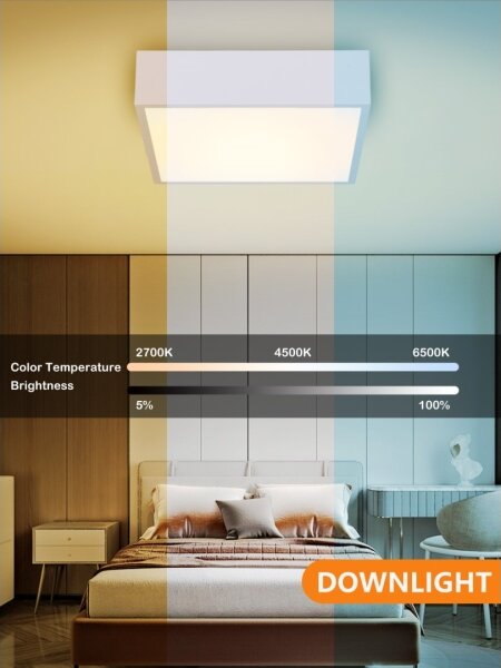 Immax NEO 07238L - Plafoniera LED dimmerabile CANTO 22W/230V bianco Tuya +RC