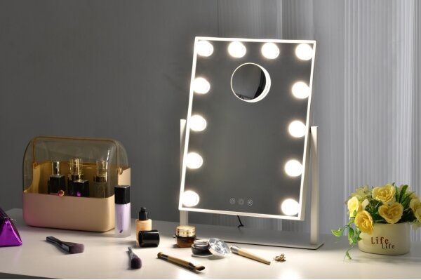 Immax 08984L - LED Dimmerabile specchio cosmetico MUST HAVE LED/12W/230V