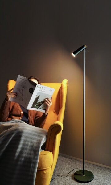Immax 08993L - Lampada da terra dimmerabile a LED TIT LED/6W/230V nero