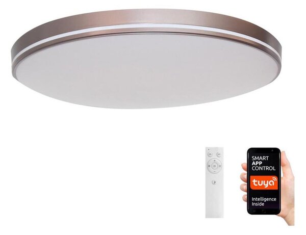 Immax NEO 07150-C40 - Luce LED Dimmerabile NEO LITE AREE 24W/230V Tuya Wi-Fi +RC