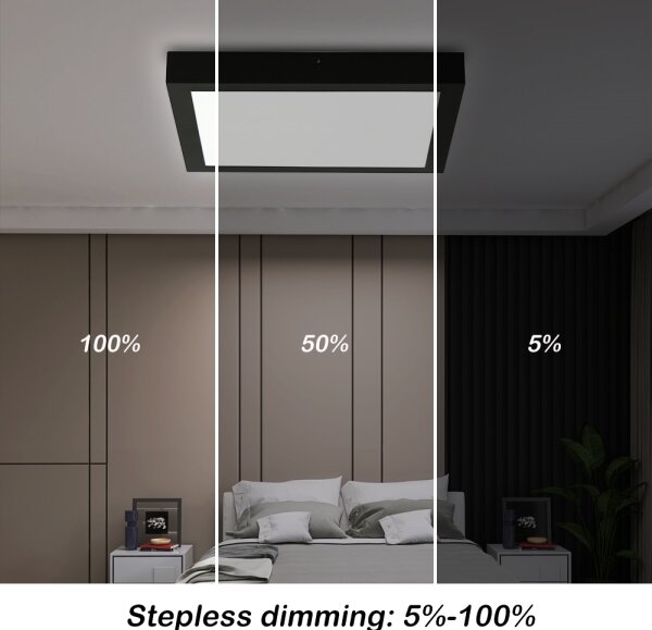 Brilagi - LED Dimmerabile plafoniera FRAME SMART LED/24W/230V nera + DO