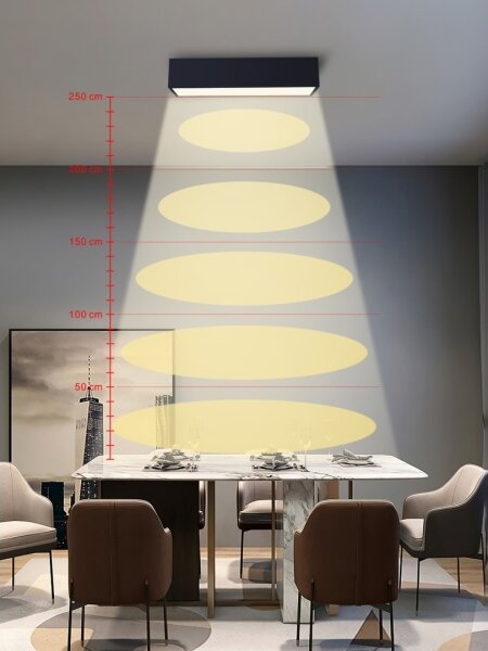 Immax NEO 07074-60-Plafoniera LED dimmerabile CANTO 34W/230V nero Tuya+RC