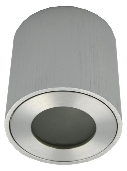 Faretto da esterno FARA 1xGU10/30W/230V IP54 argento