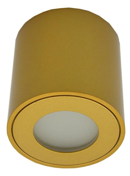 Faretto da esterno FARA 1xGU10/30W/230V IP54 oro