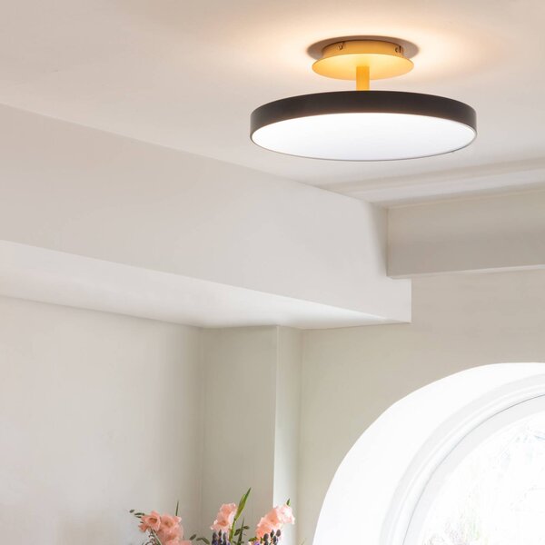 UMAGE Plafoniera di design Asteria UP PLUS, dimmerabile, Nero, Soggiorno / Sala da pranzo, Metallo, Design, Plafoniera