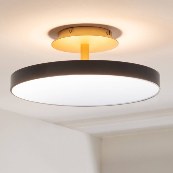 UMAGE Plafoniera di design Asteria UP PLUS, dimmerabile, Nero, Soggiorno / Sala da pranzo, Metallo, Design, Plafoniera