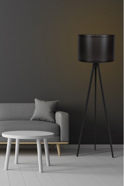 Lampada da terra AYD 1xE27/60W/230V nera
