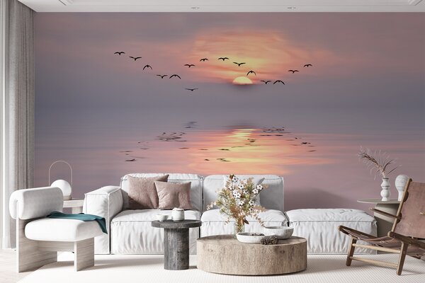 Carta da parati Gabbiani al tramonto, Carta da parati Mare, u53413 : Uwalls.it