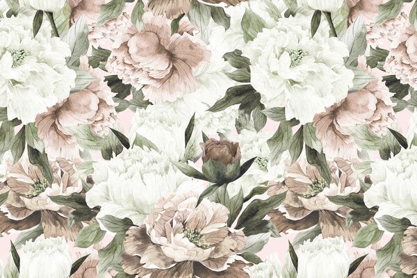 Carta da parati Peonie disegnate, Carta da parati Floreale, u55910 : Uwalls.it