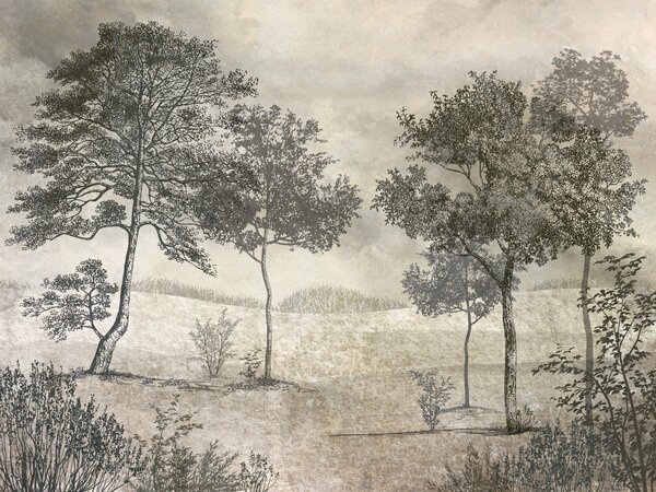 Carta da parati Alberi d'epoca, Carta da parati Foresta, Carta da parati Alberi, u80030 : Uwalls.it