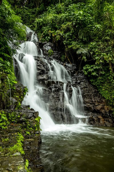 Carta da parati Acqua, pianta ed ecoregione, Carta da parati Natura, u27593 : Uwalls.it