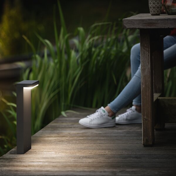Philips 16485/93/P0 - Lampada LED da esterno BUSTAN 2xLED/4,5W/230V IP44