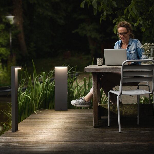 Philips 16486/93/P0 - Lampada LED da esterno MYGARDEN BUSTAN 2xLED/4,5W/230V IP44