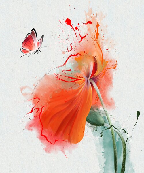 Carta da parati Papavero e farfalla, Carta da parati Floreale, Carta da parati Fiori grandi, u34147 : Uwalls.it