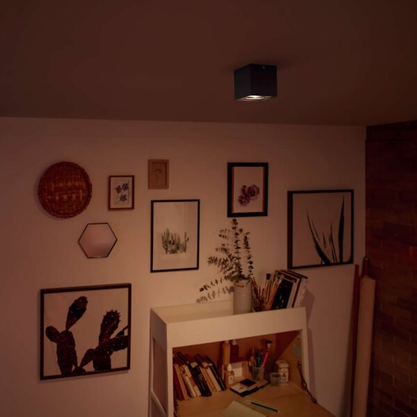 Philips 50491/30/P0 - Lampada dimmerabile a LED MYLIVING BOX LED/4,5W/230V