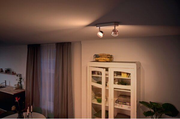 Philips 50562/11/P0-Luce LED dimmerabile MYLIVING WORCHESTER 2xLED/4,5W/230V