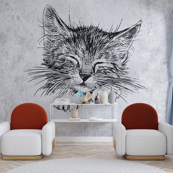 Carta da parati Gatto, felino dai carnivori, Carta da parati Animali, u43536 : Uwalls.it