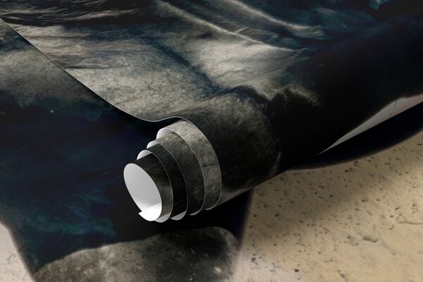 Carta da parati Cavallo, vertebrato e animale da lavoro, Carta da parati Animali, Carta da parati Cavalli, u45777 : Uwalls.it