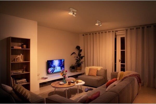 Philips 50602/31/P0 - Luce Spot a LED BUKKO 2xLED/4,5W/230V