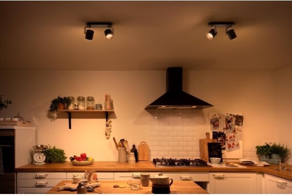 Philips 50672/30/P0 - Luce Spot a LED dimmerabile BYRL 2xLED/4.5W/230V