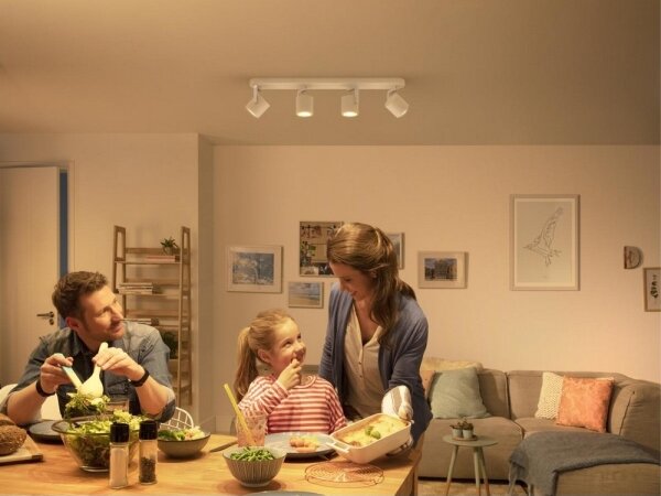 Philips 50674/31/P0 - Luce Spot a LED dimmerabile BYRL 4xLED/4.5W/230V