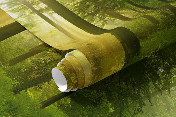 Carta da parati Silenzio nella foresta soleggiata, Carta da parati Natura, u57295 : Uwalls.it