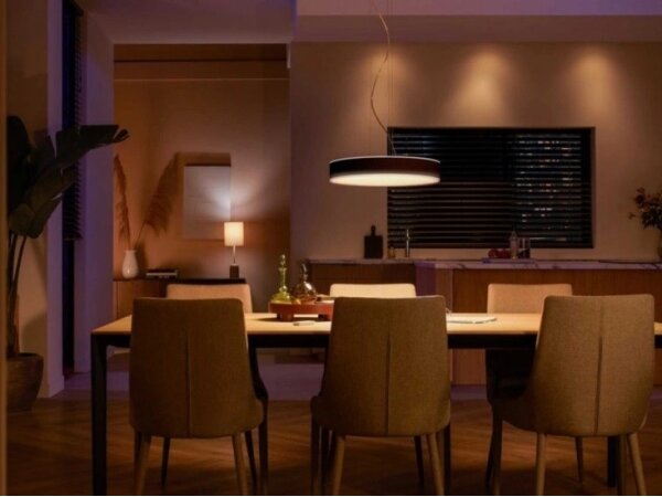 Philips - Lampadario a sospensione con filo LED dimmerabile Hue ENRAVE LED/33,5W/230V nero + +TC
