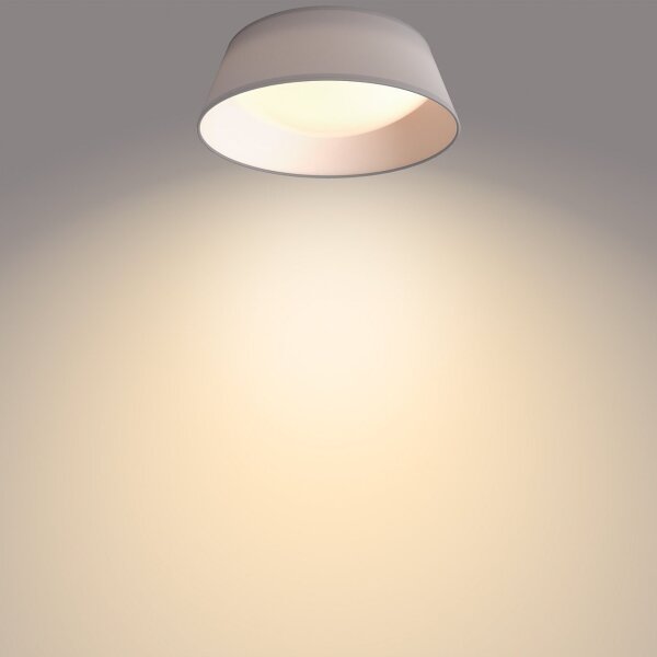 Philips - Plafoniera LED DAWN LED/14W/230V grigio
