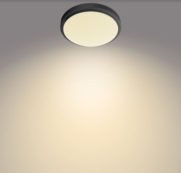 Philips - Plafoniera LED da bagno DORIS LED/6W/230V IP44