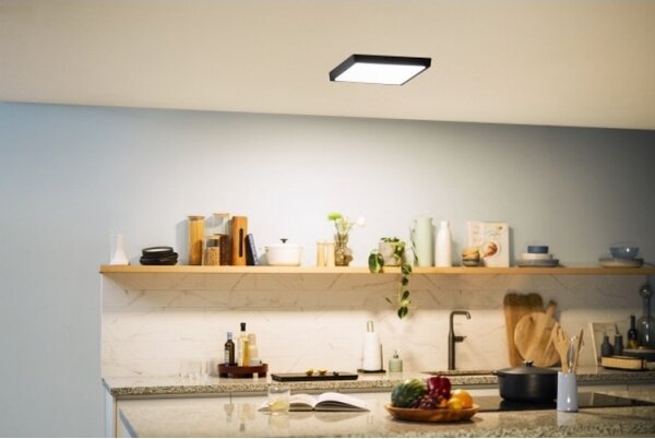 Philips - Plafoniera LED MAGNEOS LED/20W/230V 2700K nera