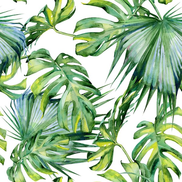 Carta da parati Pianta, foglia e botanica, Carta da parati Foresta, Carta da parati Tropici della Foresta, u58625 : Uwalls.it