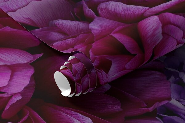 Carta da parati Bouquet di magnifiche peonie, Carta da parati Floreale, u72224 : Uwalls.it
