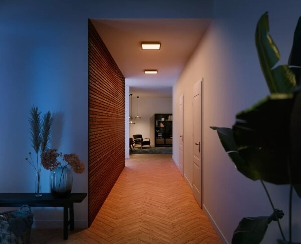 Philips - Plafoniera LED dimmerabile Hue AURELLE LED/19W/230V + +TC
