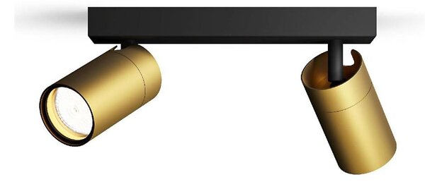 Philips - Luce Spot da bagno IDRIS 2xGU10/5W/230V IP44 nero/oro