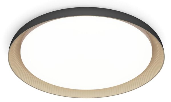 Philips - Plafoniera LED dimmerabile PEBBLO LED/10W/230V 4000K nero