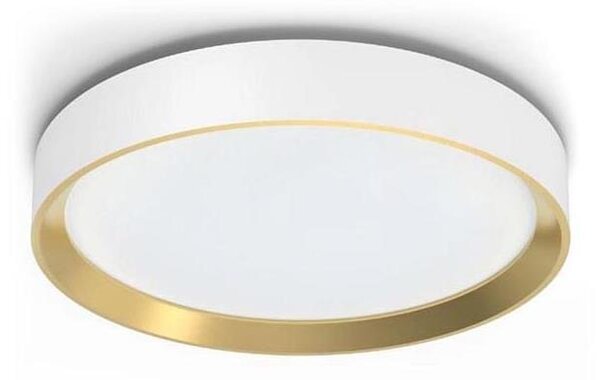 Philips HANNO LED 24W 230V 2700K lampada da soffitto dimmerabile bianca