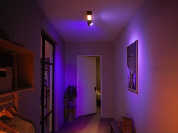 Philips Hue CENTRIS LED RGBW dimmer, 2xGU10/4,2W + LED/11W
