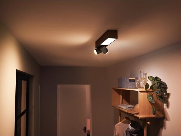 Philips Hue CENTRIS LED RGBW dimmer, 2xGU10/4,2W + LED/11W