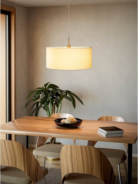 Eglo 31575 - Lampadario a sospensione con filo PASTERI 1xE27/60W/230V
