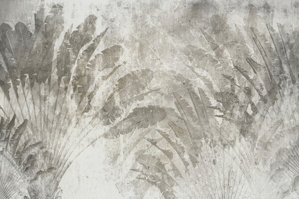 Carta da parati Foglie tropicali su uno sfondo di pietra, Carta da parati Foresta, Carta da parati Tropici della Foresta, u73885 : Uwalls.it