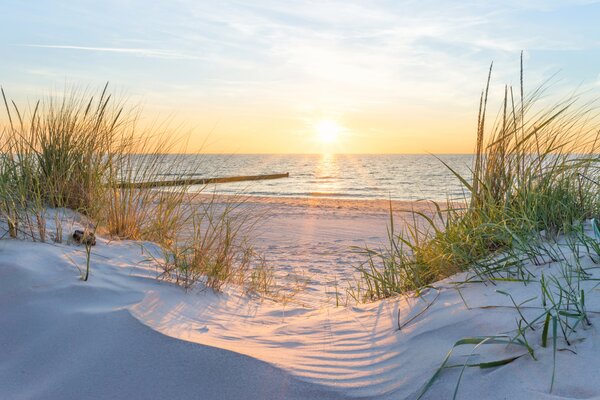 Carta da parati Foto / Panorama Dunes Beach con tramonto, Carta da parati Mare, u93577 : Uwalls.it