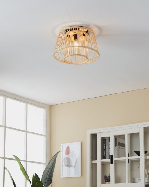 Eglo 43851 - Plafoniera HYKEHAM 1xE27/40W/230V