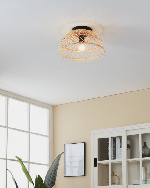 Eglo 43831 - Plafoniera AUSNBY 1xE27/40W/230V