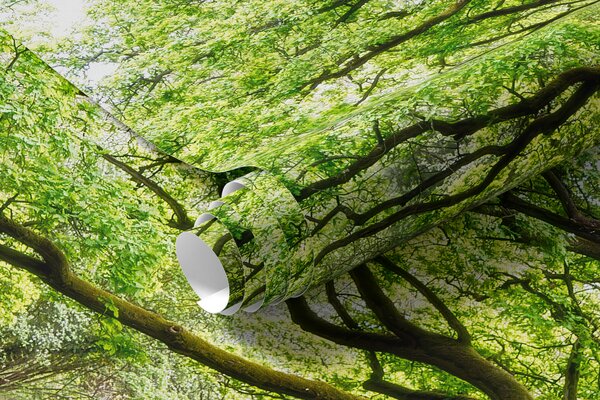 Carta da parati Pianta, paesaggio verde e naturale, Carta da parati Foresta, Carta da parati Alberi, u55659 : Uwalls.it
