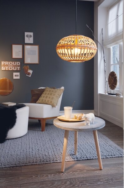 Eglo 49771 - Lampada a sospensione AMSFIELD 1xE27/60W